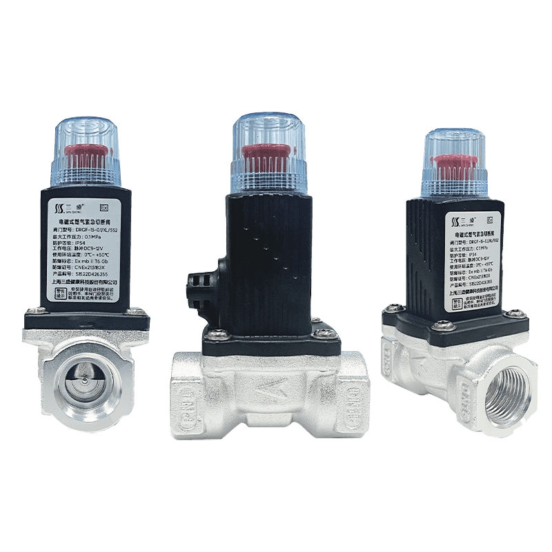 Household Cooking Gas Detector Solenoid Valve